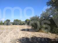 Te koop - Finca - Ontinyent