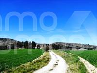 For sale - Finca - Alfafara