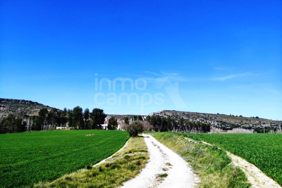 For sale - Finca - Alfafara