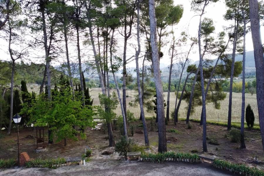 Venta - Finca - Benilloba