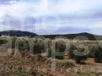 Venta - Finca - Bocairent