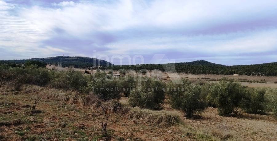 Venta - Finca - Bocairent