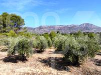 Venta - Casa de Campo - Alcocer de Planes