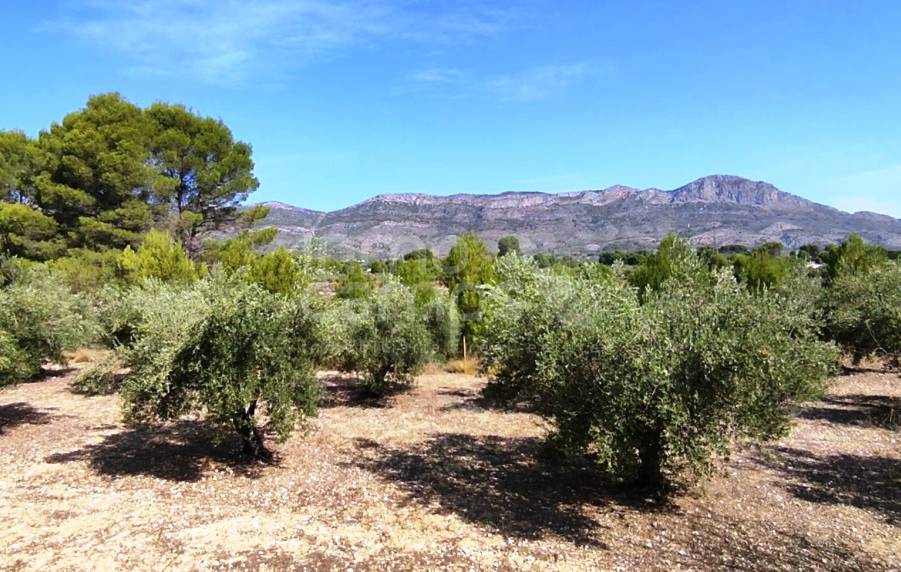 Venta - Casa de Campo - Alcocer de Planes