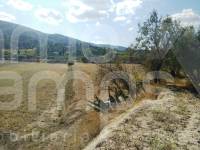 Te koop - Finca - Ontinyent