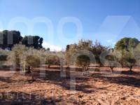 Venta - Casa de Campo - Ontinyent