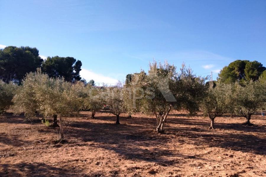 Venta - Casa de Campo - Ontinyent