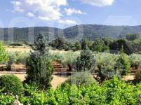 For sale - Finca - Bocairent