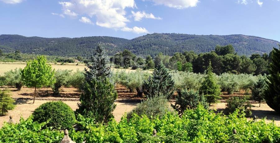 For sale - Finca - Bocairent