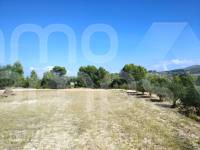 Te koop - Finca - Ontinyent