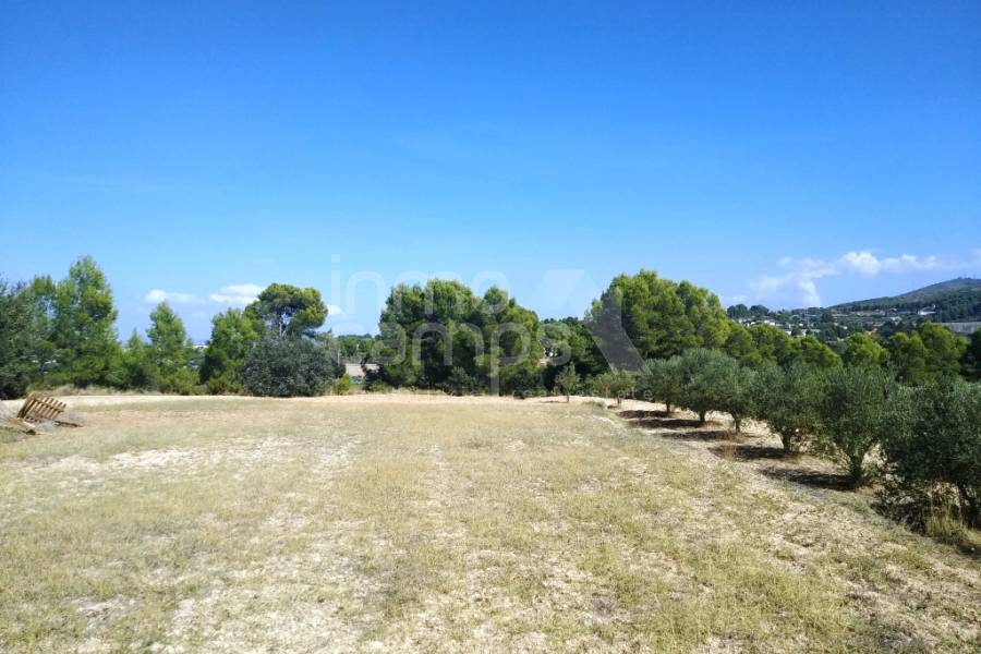 Te koop - Finca - Ontinyent