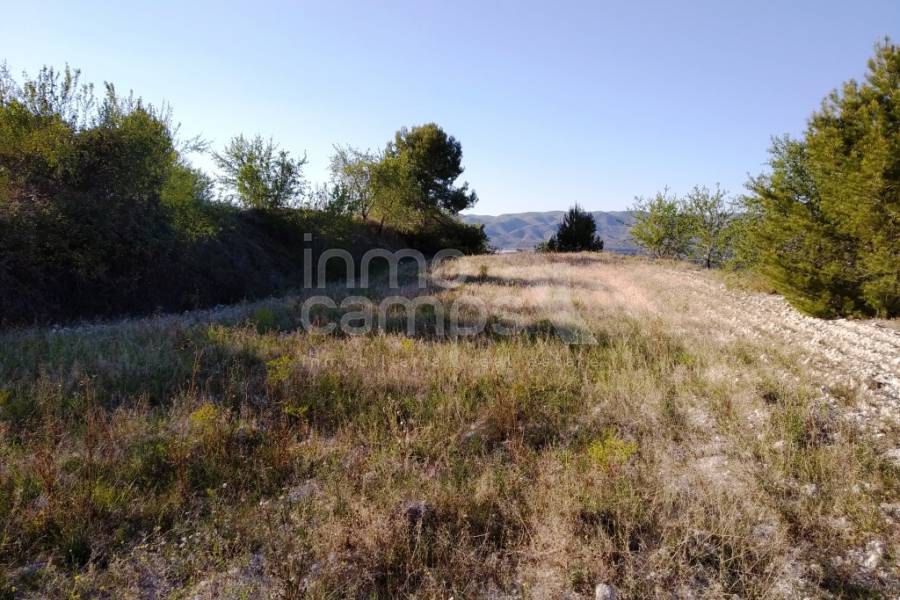 For sale - Finca - Ontinyent