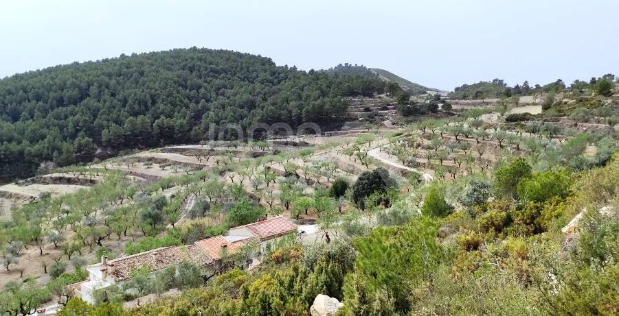 Venta - Finca - Penáguila