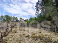 Venta - Casa de Campo - Planes