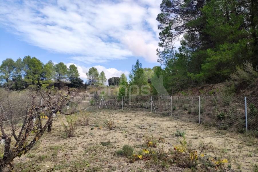 Venta - Casa de Campo - Planes