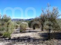 For sale - Rustic Land - Benimarfull