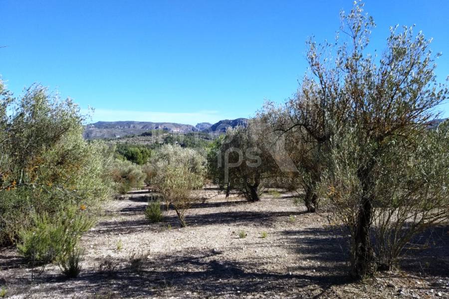 For sale - Rustic Land - Benimarfull