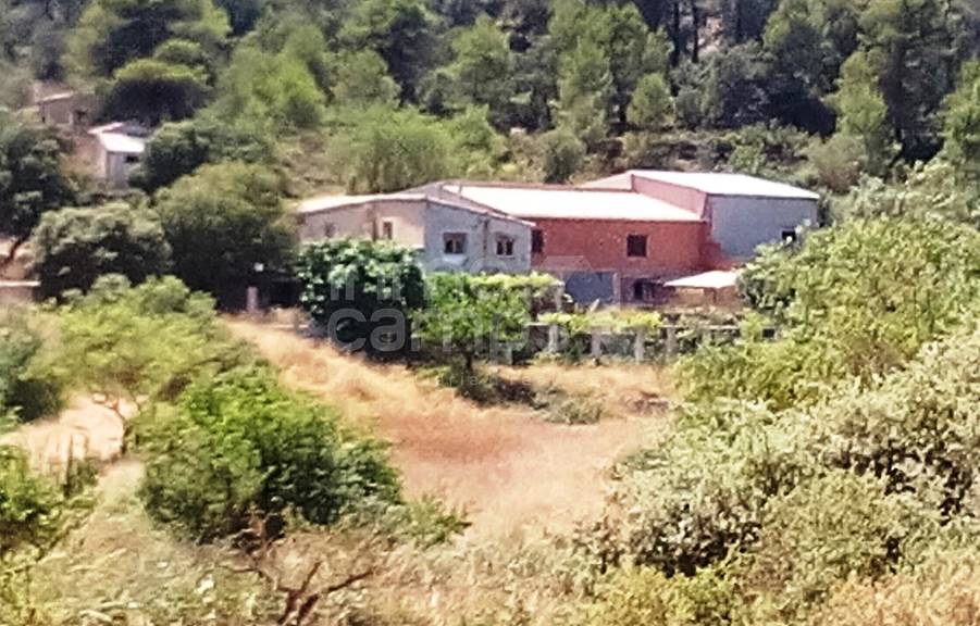 Venta - Finca - Penáguila