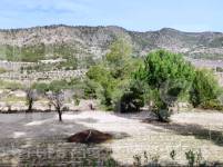 Venta - Finca - Torremanzanas