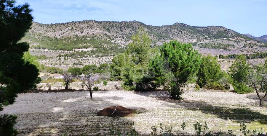 Venta - Finca - Torremanzanas