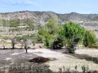 Venta - Finca - Torremanzanas