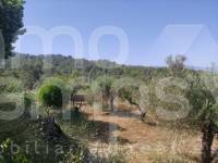 For sale - Country House - Benillup