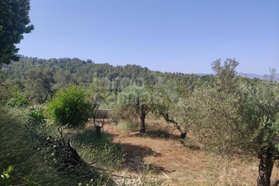 For sale - Country House - Benillup