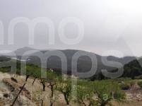 Venta - Finca - Penáguila