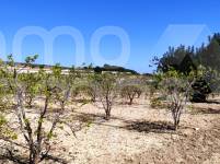 Venta - Casa de Campo - Agullent