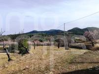 Venta - Finca - Torremanzanas