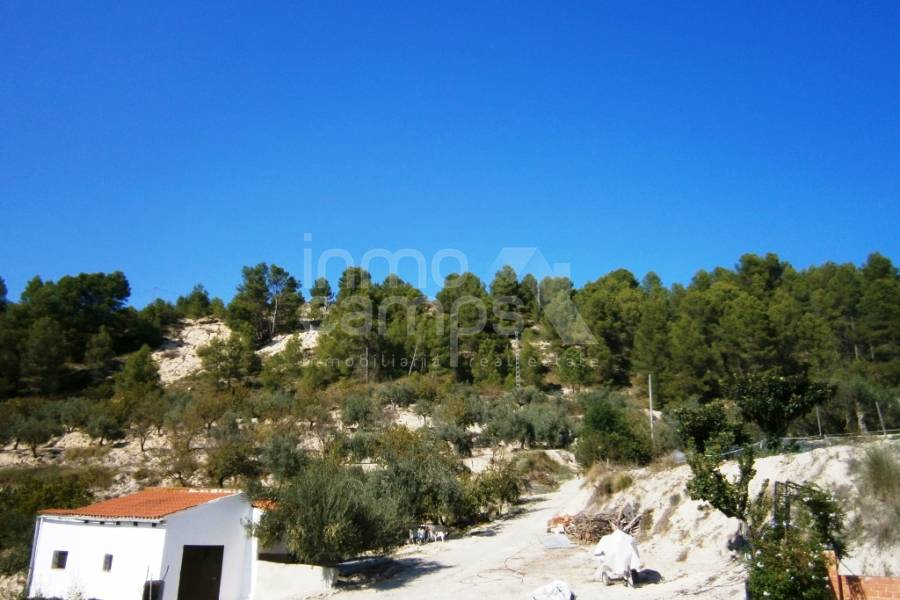 Te koop - Landhuis - Millena