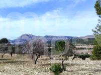Venta - Finca - Torremanzanas