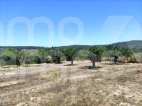 Te koop - Landhuis - Agres