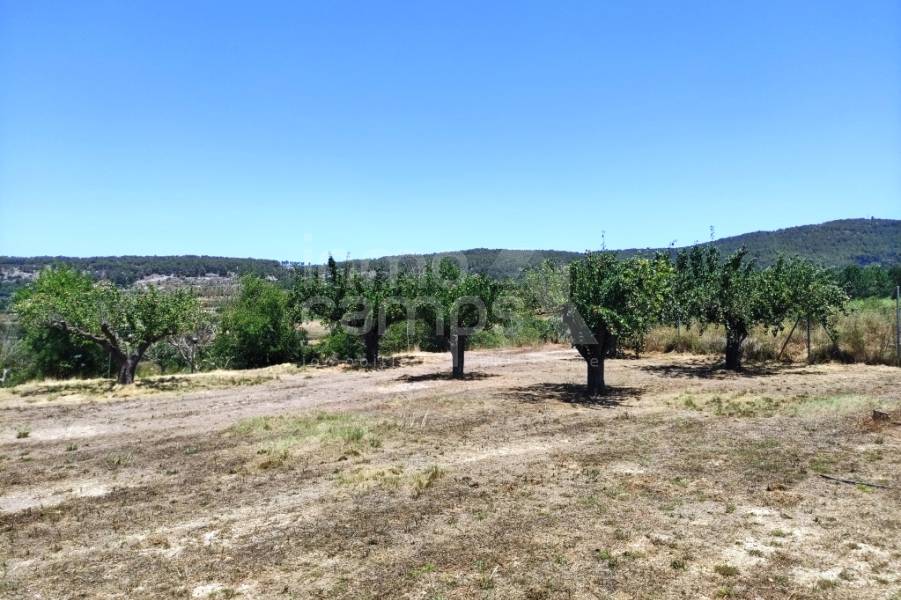 Te koop - Landhuis - Agres