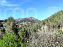 For sale - Finca - Alcoy