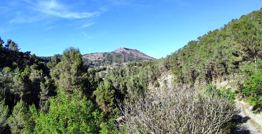 For sale - Finca - Alcoy