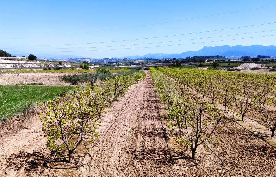 Venta - Casa de Campo - Agullent