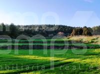 For sale - Finca - Bocairent