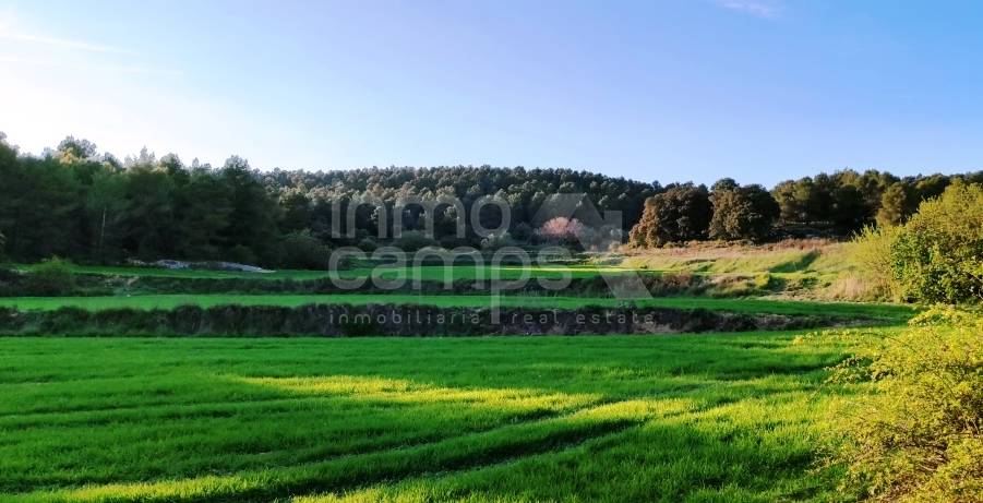 For sale - Finca - Bocairent