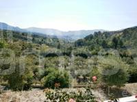 Te koop - Landhuis - Millena