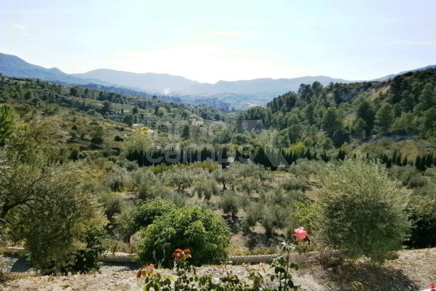 Te koop - Landhuis - Millena