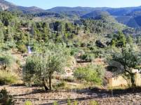 Te koop - Landhuis - Benasau