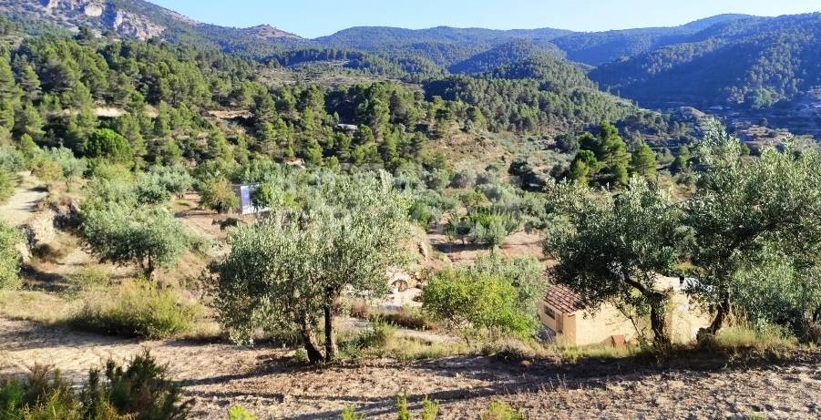 Te koop - Landhuis - Benasau