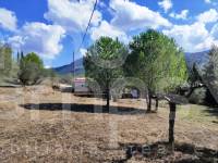 Te koop - Landhuis - Albaida