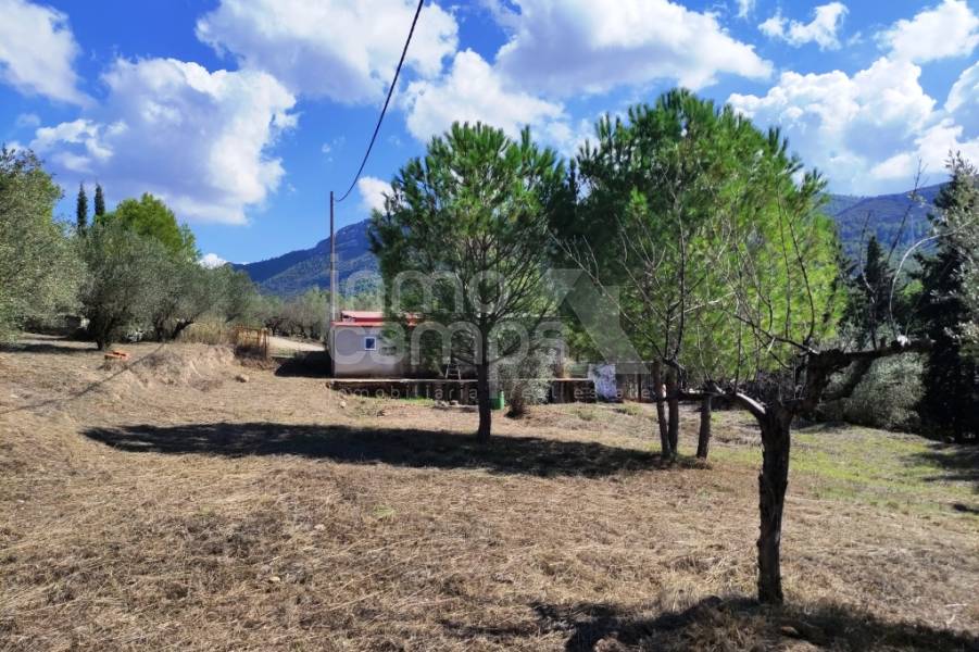 Te koop - Landhuis - Albaida