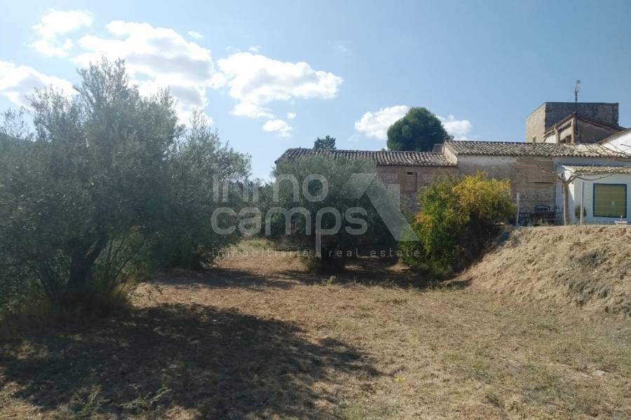 Te koop - Finca - Ontinyent