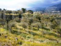 Te koop - Landhuis - Cocentaina