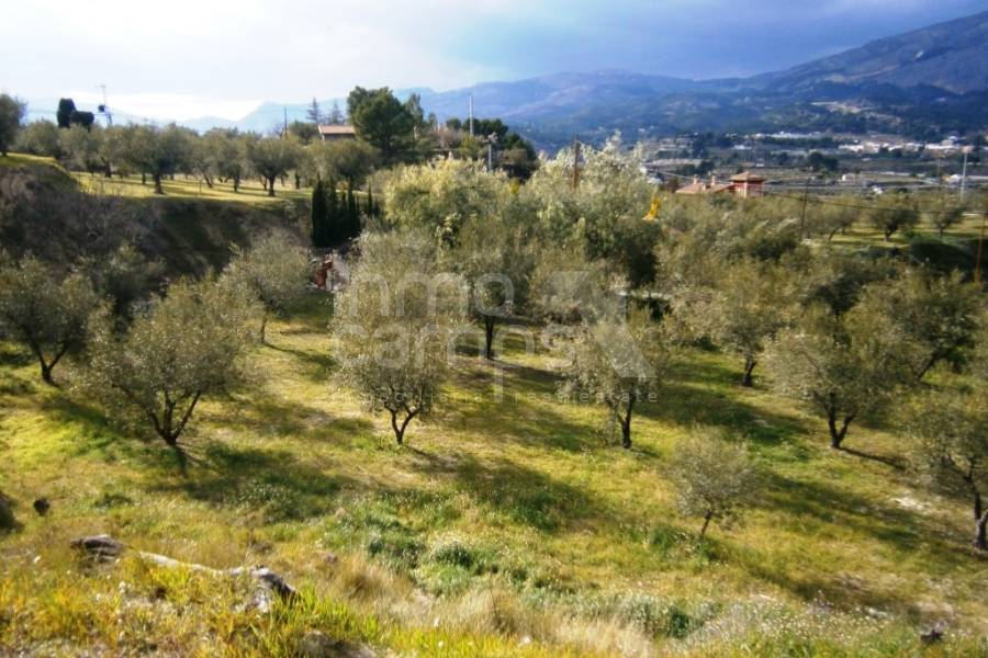 Te koop - Landhuis - Cocentaina