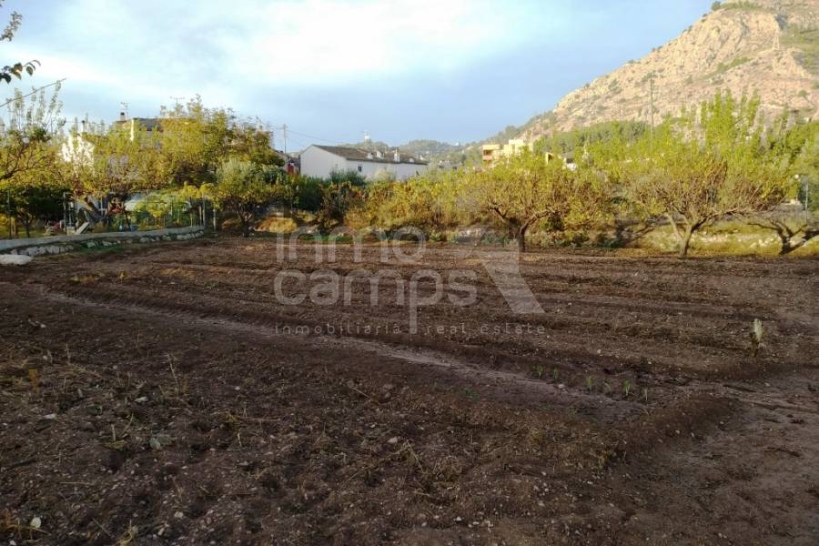 For sale - Rustic Land - Cocentaina