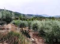 Venta - Casa de Campo - Vall de Gallinera - Alpatró